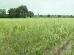 અપ્રમાણસર વરસાદથી રાજકોટના કેટલાક તાલુકામાં પાકને નુકસાનની ભીતિ