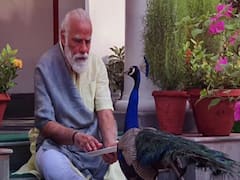 PM Modi posts beautiful video with peacock, captions it with a poem