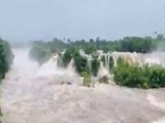 ધોધમાર વરસાદથી ગીર સોમનાથમાં જમજીર ધોધનું જોવા મળ્યું રૌદ્ર સ્વરૂપ