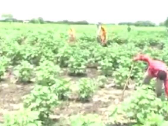 ભાવનગર જિલ્લાના નવા માઢિયા પાસે GIDC ફાળવાતા ખેડૂતોમાં રોષ, જુઓ વીડિયો