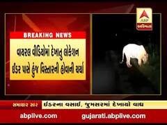 સાબરકાંઠા જિલ્લામાં વાઘ દેખાયો હોવાના નામથી વાયરલ થયો વીડિયો 