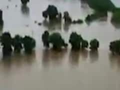 પોરબંદરના બરડા પંથકના ગામોમાં પણ ફરી વળ્યા વર્તુ ડેમના પાણી, જુઓ ડ્રોન વીડિયો