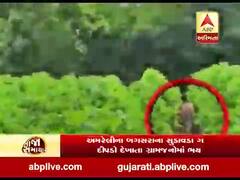 અમરેલીઃબગસરાના સુડાવડ ગામે ફરી દીપડો દેખાયો, ગ્રામજનોમાં ભય, જુઓ વીડિયો 