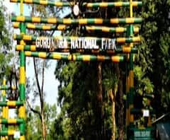 গোরুমারায় বাইসন শিকারে গ্রেফতার এখনও পর্যন্ত একজনই