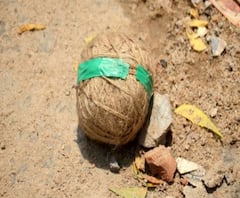 তৃণমূলের বিরুদ্ধে পশ্চিম মেদিনীপুরের মোহনপুরে বিজেপি কর্মীর বাড়ি লক্ষ্য করে বোমাবাজির অভিযোগ, সোশাল মিডিয়ায় ভাইরাল ভিডিও