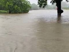 વડોદરા પાસે જાંબુવા નદીની સપાટી વધતા કાર ચાલક ફસાયો, જુઓ વીડિયો