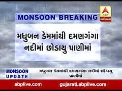 વલસાડના મધુબન ડેમમાંથી દમણગંગા નદીમાં છોડાયુ પાણીમાં, જુઓ વીડિયો 