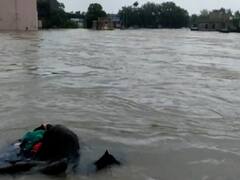 ગુજરાતના આ જિલ્લામાં અત્યાર સુધી અધધ...82 ઇંચ વરસાદ ખાબક્યો, જુઓ વીડિયો