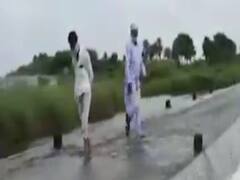 દેવભૂમિ દ્વારકાઃ કલ્યાણપુરના ખાખરડા ગામની હાલત કફોડી,ભારે વરસાદથી સંપૂર્ણ પાક થયો બરબાદ