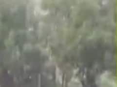 જૂનાગઢના માંગરોળમાં બે કલાકમાં ચાર ઇંચ વરસાદ ખાબક્યો