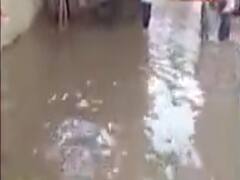 ગુજરાત માટે હજુ 24 કલાક ભારે, ક્યાં ક્યાં પડી શકે છે ભારેથી અતિ ભારે વરસાદ?