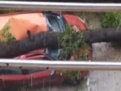 Dual trouble of high speed winds and downpour batters Mumbai