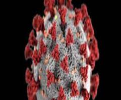 দেশে কমেছে করোনায় দৈনিক সংক্রমণ ও মৃত্যু