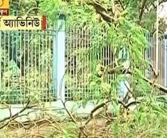 টানা বৃষ্টির জের! রবীন্দ্র সরোবরে গাছ উল্টে গুরুতর আহত পুলিশকর্মী