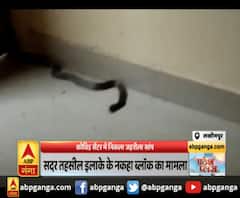 लखीमपुर- कोविड सेंटर में निकला जहरीला सांप ,सांप निकलने से मरीजों में अफरातफरी