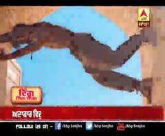 ਡਿਜ਼ਨੀ ਪਲੱਸ ਹੌਟਸਟਾਰ 'ਤੇ ਰਿਲੀਜ਼ ਹੋਈ 'ਖੁਦਾ ਹਾਫਿਜ਼'