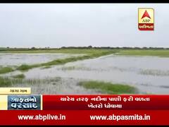 દ્વારકાના ગાગા ગામે તારાજીના દ્રશ્ય, ચારેય તરફ નદીના પાણી ફરી વળતા ખેતરો ધોવાયા, જુઓ વીડિયો