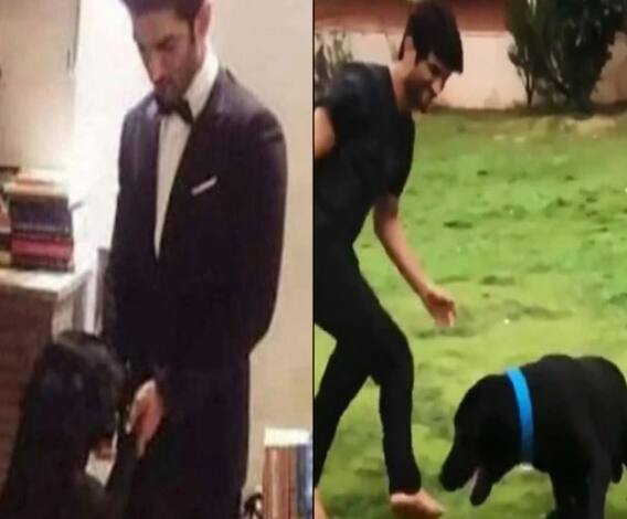 সুশান্তের অমর-আকবর-অ্যান্টনিকে চেনেন?