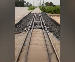 Rural News | पालघरच्या केळव्यात रेल्वे रुळांवर पाणी साचलं | माझं गाव माझा जिल्हा