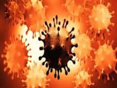 Watch top 20 political news of the day