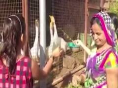 Know why graveyard of Nagaur's Ladnun attracts visitors