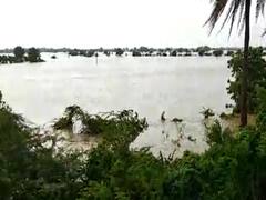 દ્વારકાનું જામ રાવલ ગામ બેટમાં ફેરવાયું, ખેડૂતો થયા બરબાદ