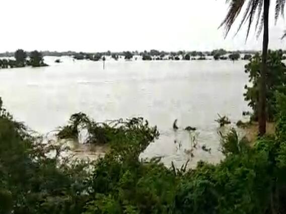 દ્વારકાનું જામ રાવલ ગામ બેટમાં ફેરવાયું, ખેડૂતો થયા બરબાદ