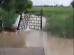 સુરેન્દ્રનગરમાં ધોધમાર વરસાદથી ખેતરોમાં ભરાયા પાણી, જુઓ વીડિયો