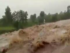 નર્મદાઃ મોહન નદીમાં પૂર આવતા મીની ડેમ છલકાયો, જુઓ વીડિયો