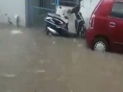 પાટણઃ હારીજ અને સમીમાં બે ઇંચથી વધુ વરસાદ, જુઓ વીડિયો 