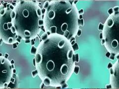 Did Coronavirus surface eight years ago in China?