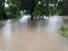 નવસારીઃ કેરી, ચીકુના વૃક્ષો પાણીમાં ડૂબ્યા,પાણીમાં ડૂબવાથી મોટું નુકસાન