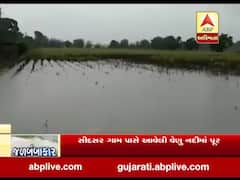 જામ જોધપુરમાં સાત ઇંચ વરસાદથી જળ બંબાકાર, ખેતરો તળાવમાં ફેરવાયા