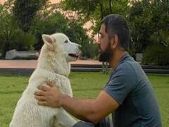 Sakshi Dhoni posts a cute message for her pet dogs