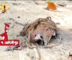 ফের উত্তপ্ত নারায়ণগড়, বিজেপি কর্মীদের বাড়িতে 'হামলা, শ্লীলতাহানি', অভিয়ুক্ত তৃণমূল, পাল্টা ভাঙচুরের অভিযোগ শাসক দলের