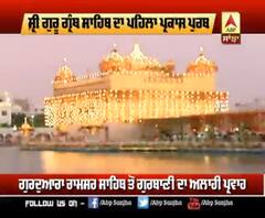 ਪ੍ਰਕਾਸ਼ ਪੂਰਬ ਮੌਕੇ ਸ਼੍ਰੀ ਹਰਿਮੰਦਰ ਸਾਹਿਬ 'ਚ ਅਲੌਕਿਕ ਆਤਿਸ਼ਬਾਜ਼ੀ