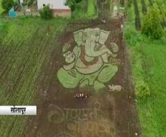 Bappa Majha 2020 | सोलापुरात साकारली गणरायाची हरित प्रतिमा, अर्धा एकर शेतात कलेचा आविष्कार! Solapur