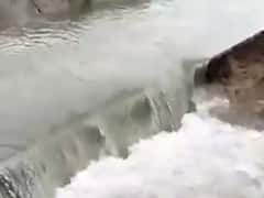 પાટણ: શંખેશ્વર તાલુકાના સીપુર ગામની કેનાલમાં ગાબડું, ખેતરોમાં ફરી વળ્યા પાણી, જુઓ વીડિયો