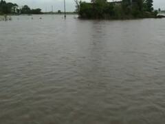 જોનપુર ગામે ઓઝત અને સાબરી ડેમના પાણી ફરી વળ્યા, ખેડૂતોનો પાક બરબાદ