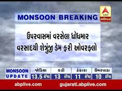 ધોધમાર વરસાદથી શેત્રુંજી ડેમ ફરી થયો ઓવરફ્લો, 40 દરવાજા બે ફૂટ સુધી ખોલાયા