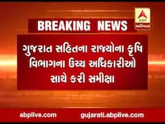 રાજ્યમાં ખાતરની તંગીની ફરિયાદનો મુદ્દો પહોંચ્યો દિલ્હી,કેન્દ્રિય મંત્રી મનસુખ માંડવિયાએ કરી સમીક્ષા