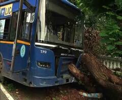 ময়দানের কাছে আচমকা সরকারি বাসের দরজা খুলে ছিটকে পড়লেন চালক! অল্পের জন্য রক্ষা পেলেন যাত্রীরা