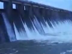 90 ટકાથી વધારે પાણીના જથ્થા સાથે રાજ્યના 141 જળાશય હાઇએલર્ટ પર, જુઓ વીડિયો