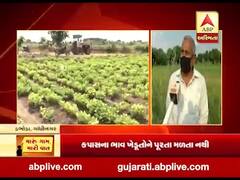 મારુ ગામ મારી વાતઃ ગાંધીનગરના ડભોડા ગામના ખેડૂતોની શું છે સમસ્યા?