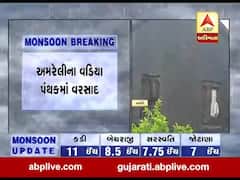 અમરેલીના વડિયા પંથકમાં ધોધમાર વરસાદ, જુઓ વીડિયો