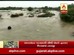 દેવભૂમિ દ્વારકા જિલ્લામાં ઘૂંટણ સુધીના પાણી ભરાતા પાક સંપૂર્ણ નિષ્ફળ, જુઓ વીડિયો