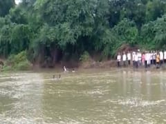 રાજ્યમાં ધોધમાર વરસાદના કારણે પાણીનો પ્રવાહ બન્યો ઘાતક, જુઓ વીડિયો