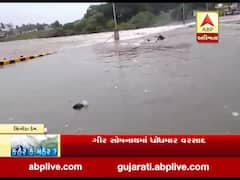 ગીર સોમનાથ: સિંગોડા ડેમમાંથી પાણી છોડાતા કોડીનાર શહેરના બ્રિજ પર ફરી વળ્યું પાણી, જુઓ વીડિયો 