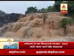 નર્મદા જિલ્લામાં ધોધમાર વરસાદ પડતા નદી અને ધોધ છલકાયા, જુઓ વીડિયો 