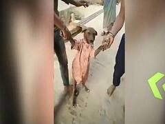 Stricter laws needed for the protection of animals in India | Ghanti Bajao (27.08.2020)